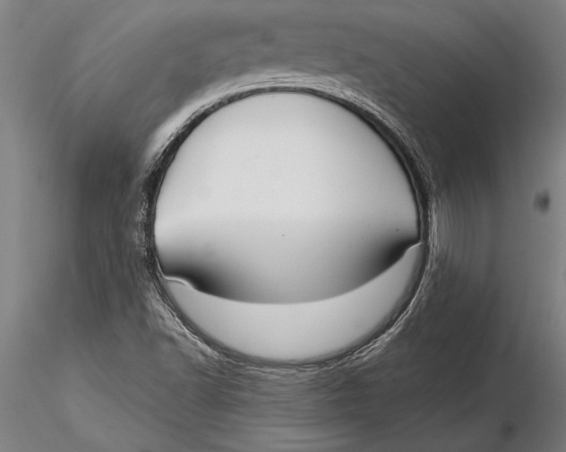 X0000116041502200912111427