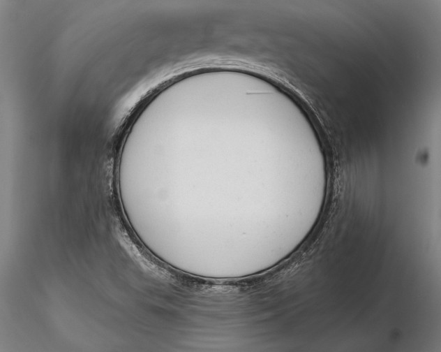 X0000116041503200912111427