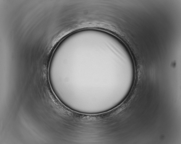 X0000116041505200912111427