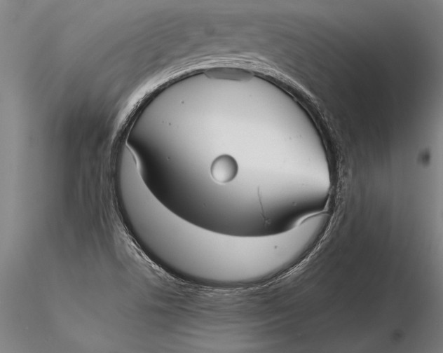 X0000116041506200912111427