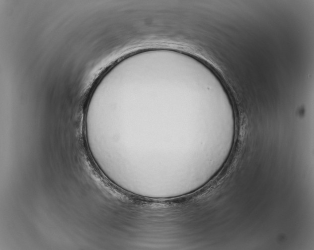 X0000116041507200912111427