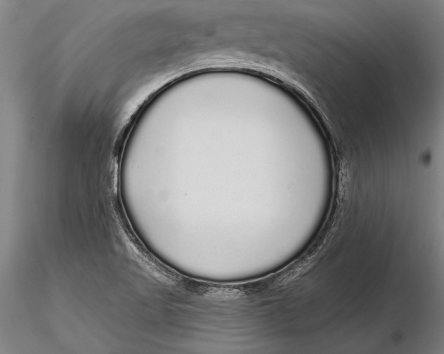 X0000116041509200912111427