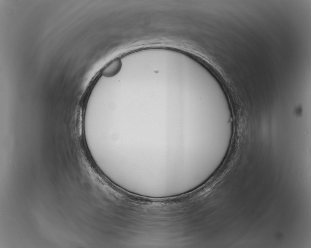 X0000116041510200912111427