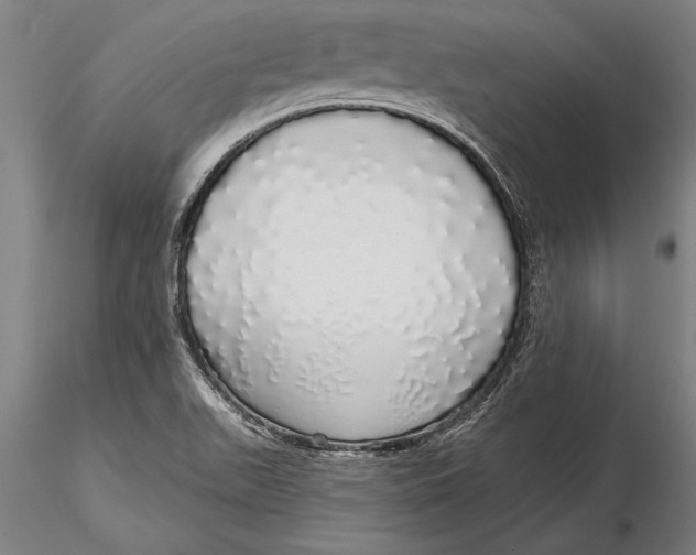 X0000116041511200912111427