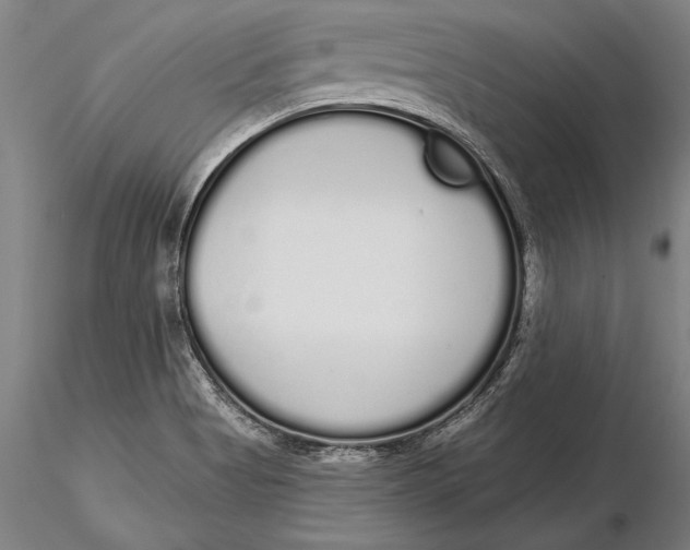 X0000116041513200912111427