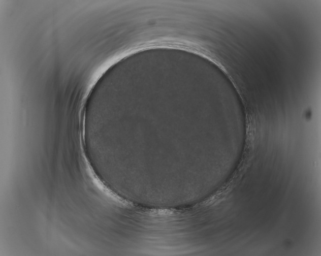 X0000116041515200912111427