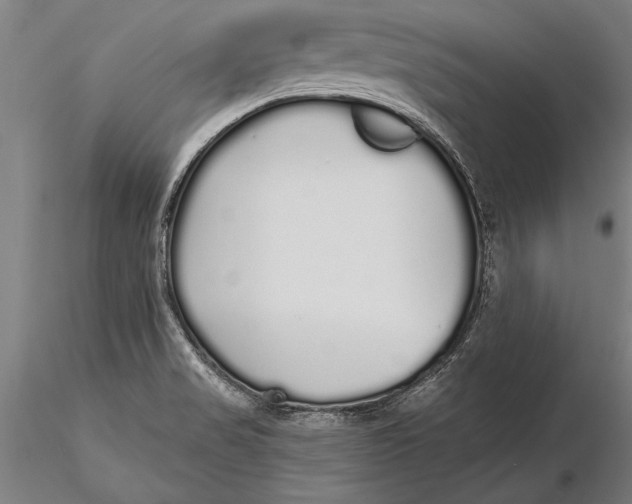 X0000116041517200912111427