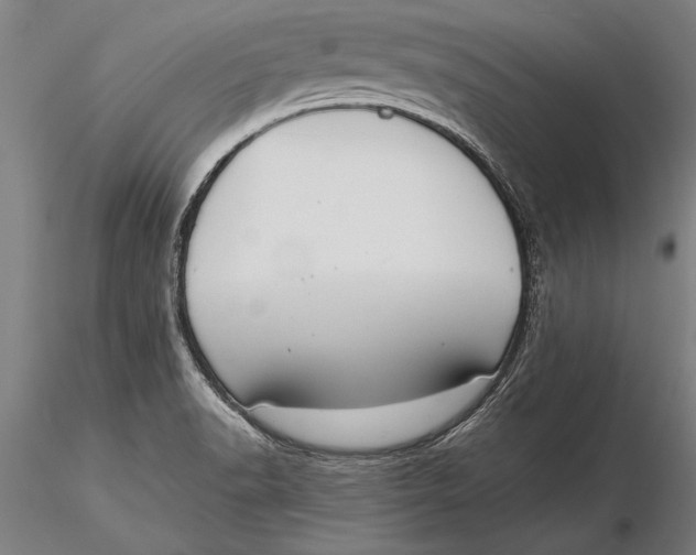 X0000116041518200912111427