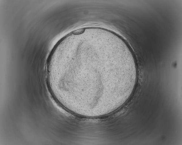 X0000116041519200912111427