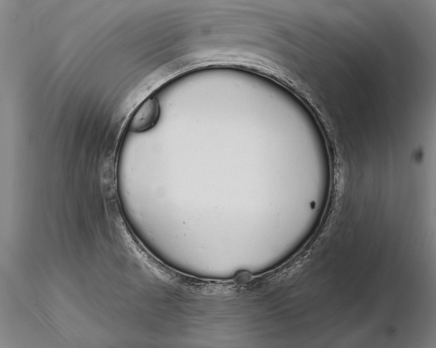 X0000116041521200912111427