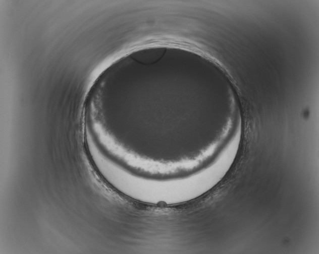 X0000116041522200912111427