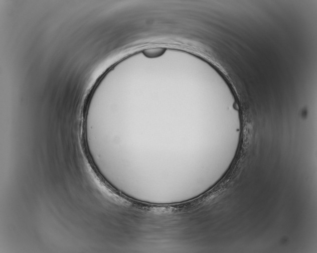 X0000116041523200912111427