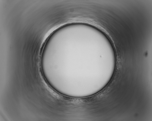 X0000116041525200912111427