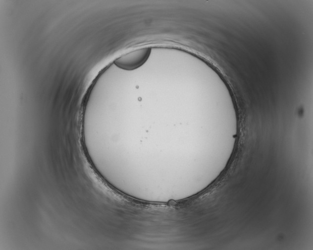 X0000116041526200912111427