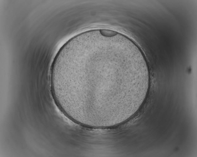 X0000116041527200912111427