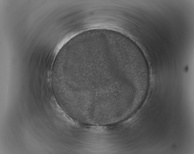 X0000116041529200912111427