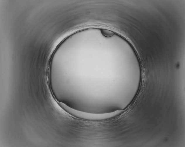 X0000116041531200912111427