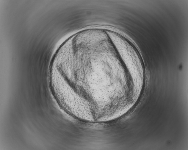 X0000116041533200912111427