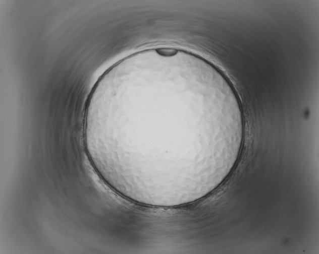 X0000116041534200912111427