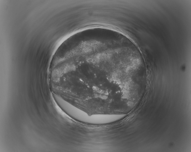 X0000116041535200912111427