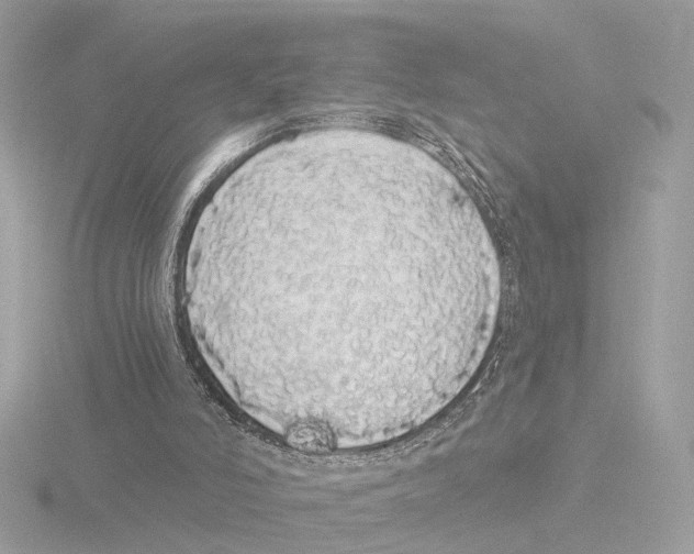 X0000116040006200912181240