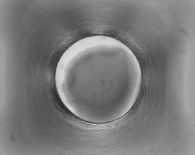 X0000116040031200912181239