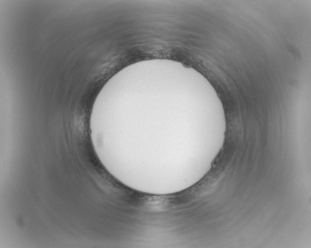 X0000116040088200912181239