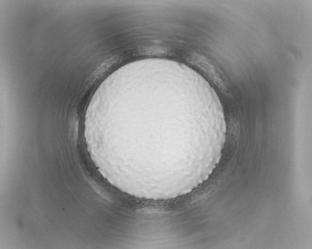 X0000116040110200912181238