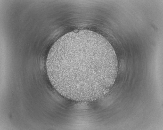 X0000116040138200912181238