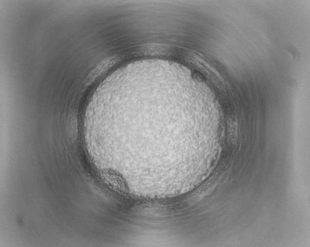 X0000116040158200912181238