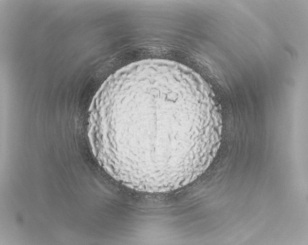 X0000116040177200912181238
