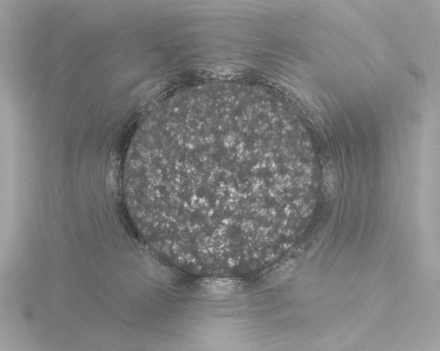 X0000116040181200912181238