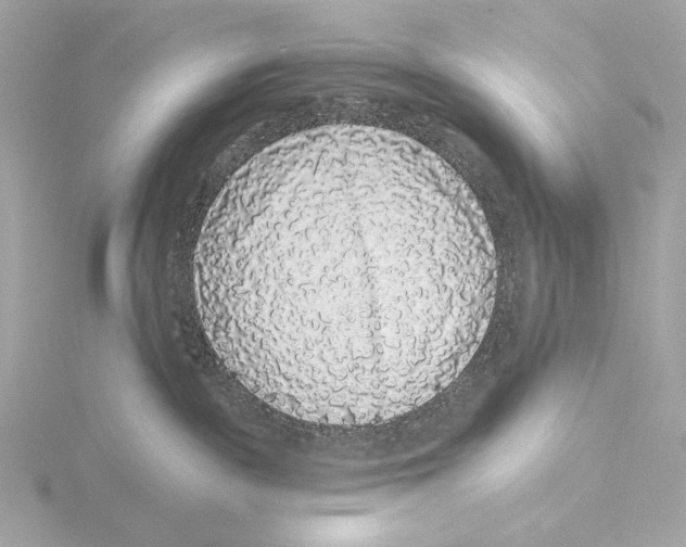 X0000116040189200912181238