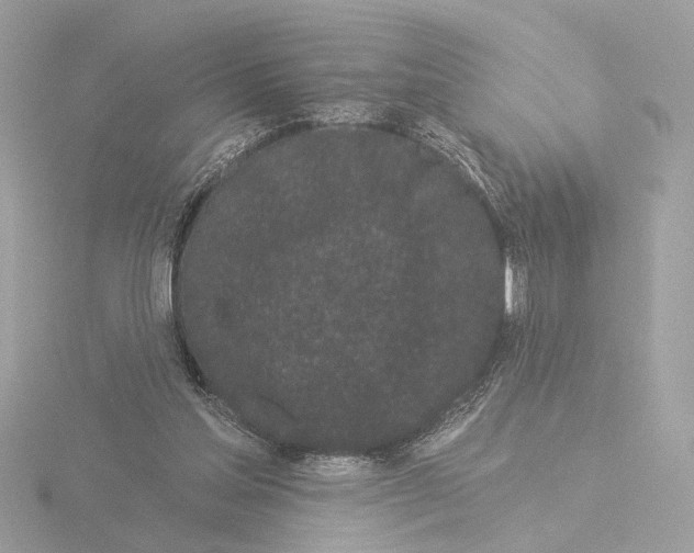X0000116040205200912181237