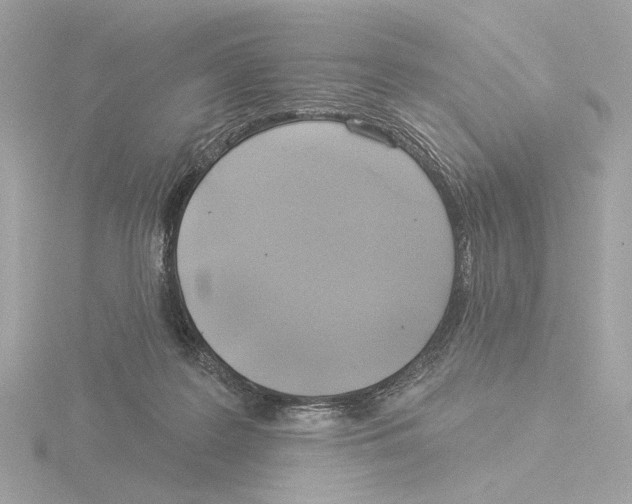 X0000116040219200912181237