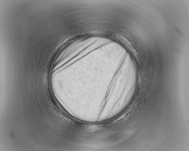 X0000116040249200912181236