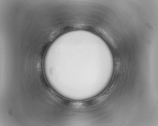 X0000116040265200912181236