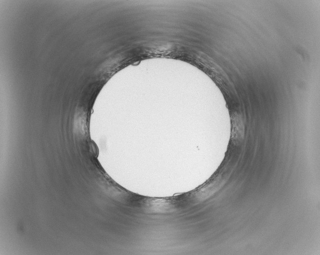 X0000116040287200912181237