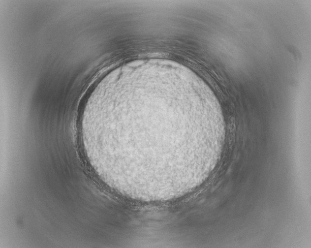 X0000116040290200912181236