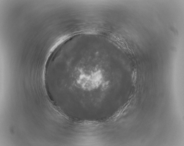 X0000116040292200912181236