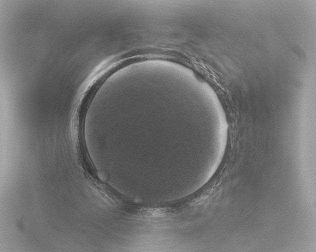 X0000116040295200912181236