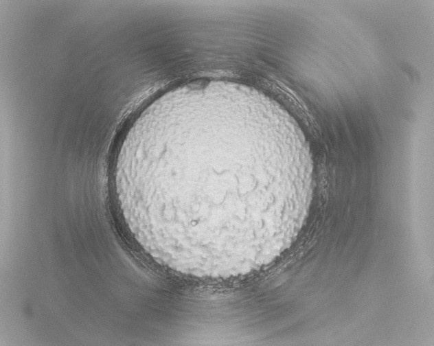 X0000116040298200912181236