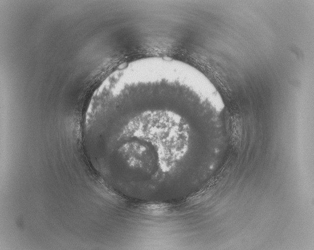 X0000116040313200912181236