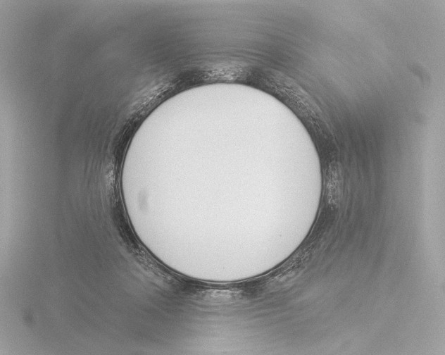X0000116040314200912181236