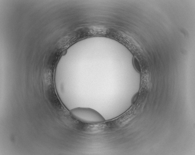 X0000116040323200912181236