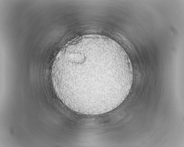 X0000116040326200912181236