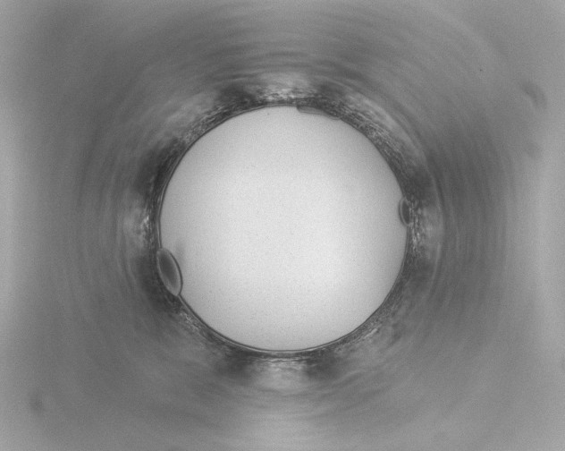 X0000116040327200912181236