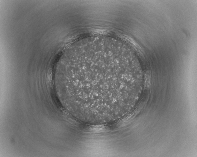 X0000116040377200912181235