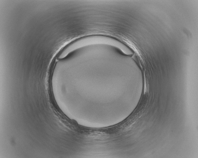 X0000116040387200912181235