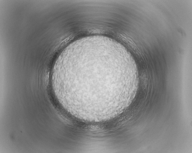 X0000116040406200912181234
